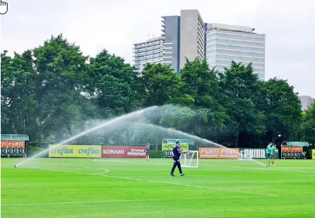 Veja como foi o treino do verdão nessa manha de quinta feira