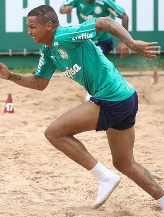 Com caixa de areia, musculação e bola, Verdão treina em dois períodos