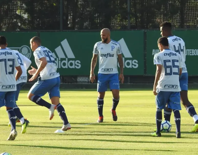 Palmeiras se reapresenta na Academia de Futebol