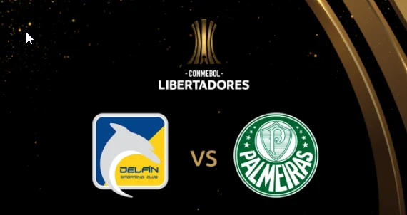 Quem é o favorito do Palmeiras x Delfín?