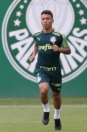 M. Rocha vê Palmeiras atrás de rivais e grupo favorável à volta dos treinos