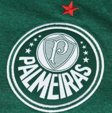 Sub-14 do Palmeiras disputa Torneio Brasil-Japão e empata com o São Paulo