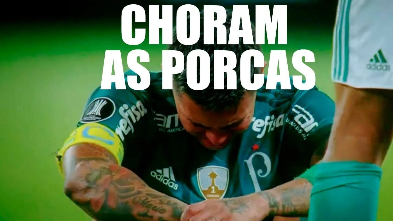 CHORA PORCO! TIMÃO É CAMPEÃO! Marque a porcada para ver o campeão paulista 2018 - #SEMMIMI #OChoroéLivre