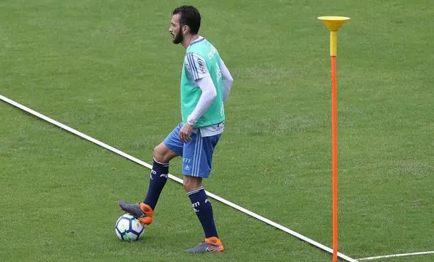 Campeão do BR-16, Dracena completa 100 jogos com a camisa do Verdão; veja números