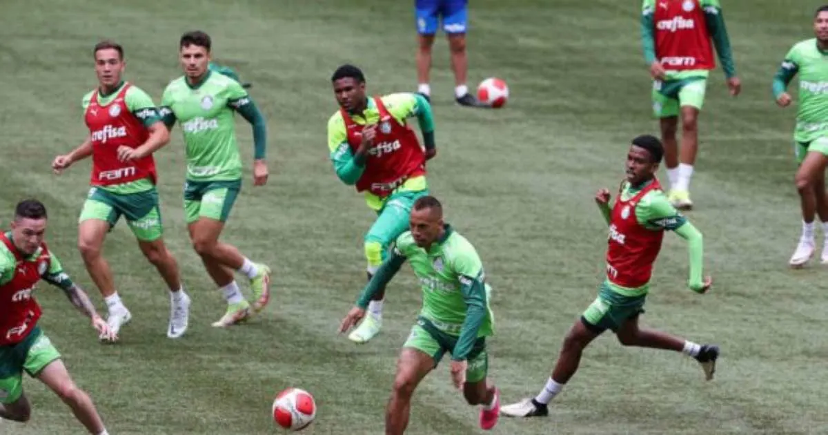 Treino do Palmeiras com selecionáveis e teste do novo gramado do Allianz Palque