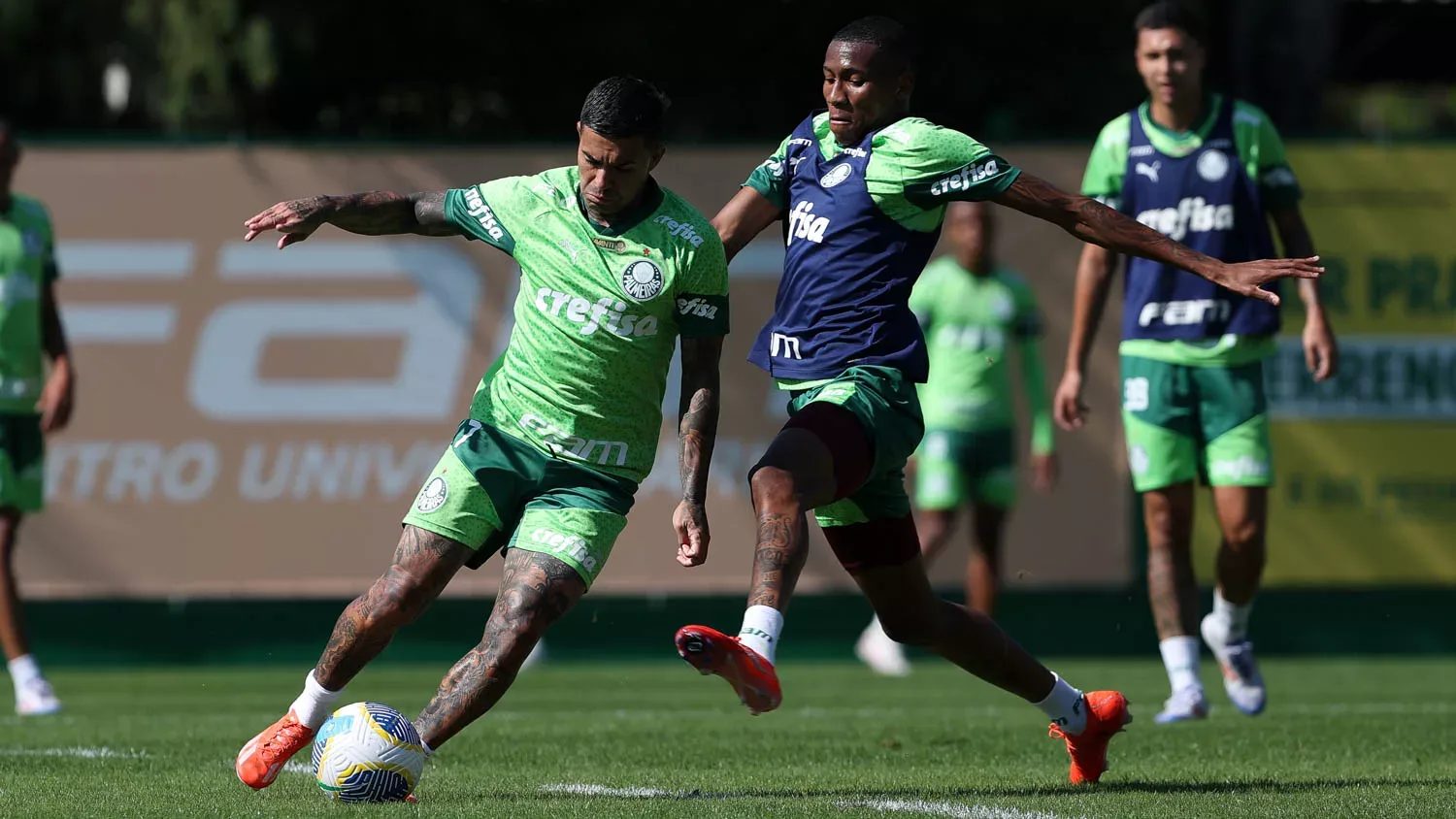 Palmeiras terá três treinos com time completo antes de enfrentar o Criciúma