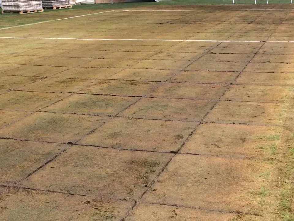 Gramado do Allianz Parque preocupa; WTorre acalma torcida