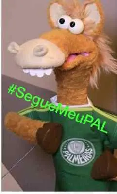 #SEGUEMEUPAL - Torcida do Verdão comemora liderança em rede social