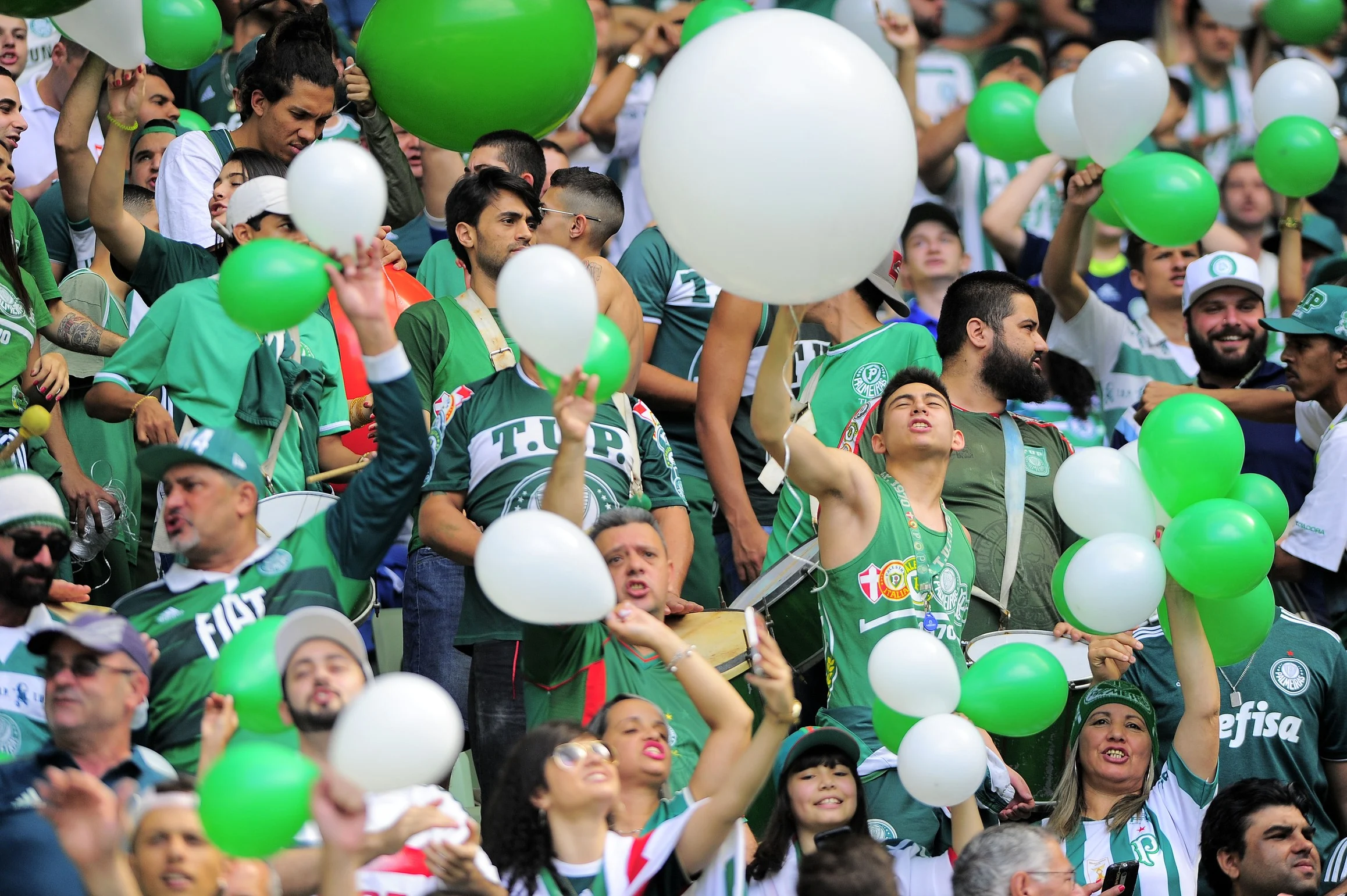 Palmeiras é líder em arrecadação no ano