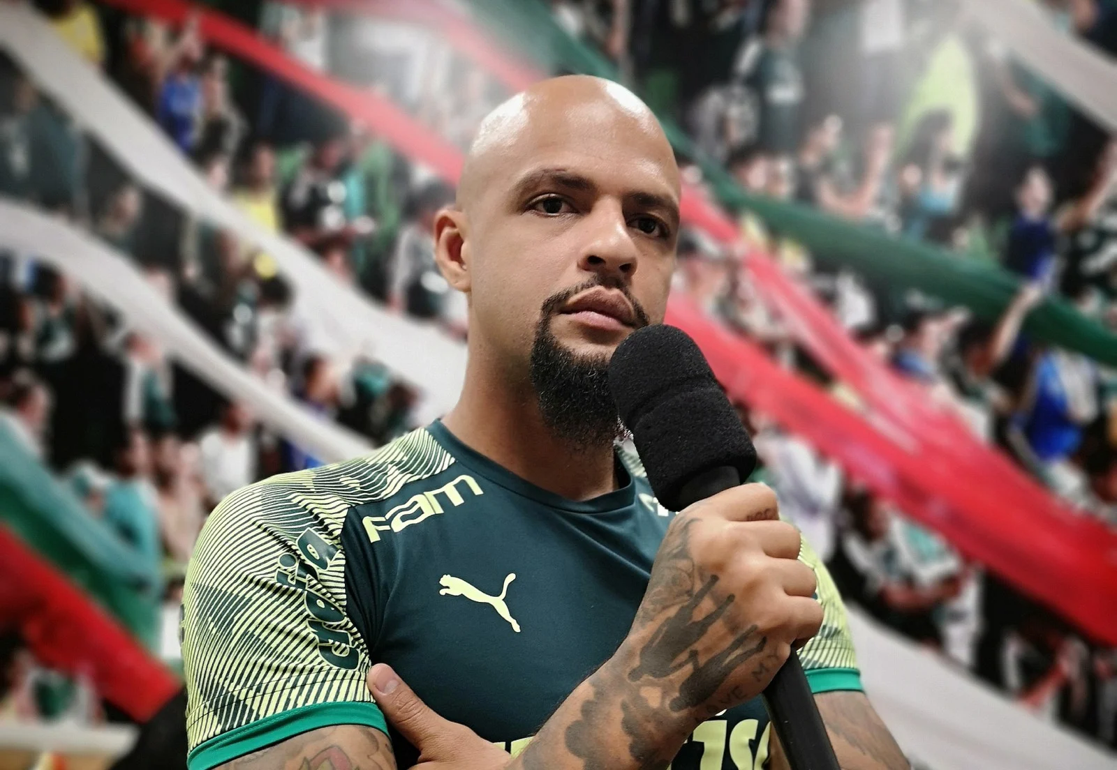 Felipe Melo explica versão mais light no Palmeiras, mas avisa: 