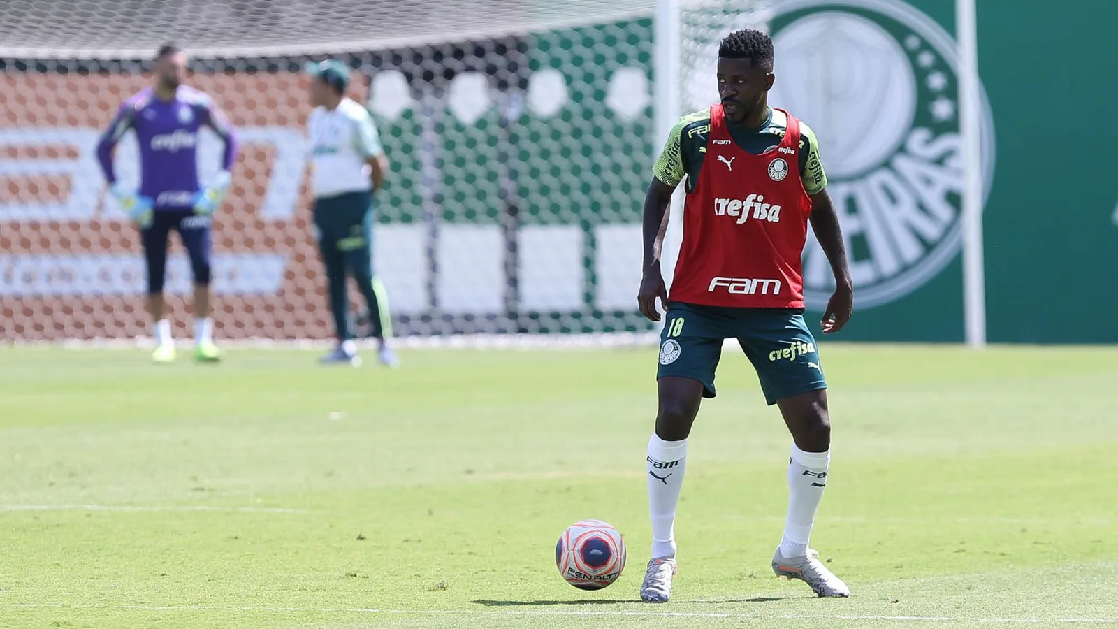 Ramires supera número de jogos dos últimos anos e é o volante mais usado por Luxa no Palmeiras