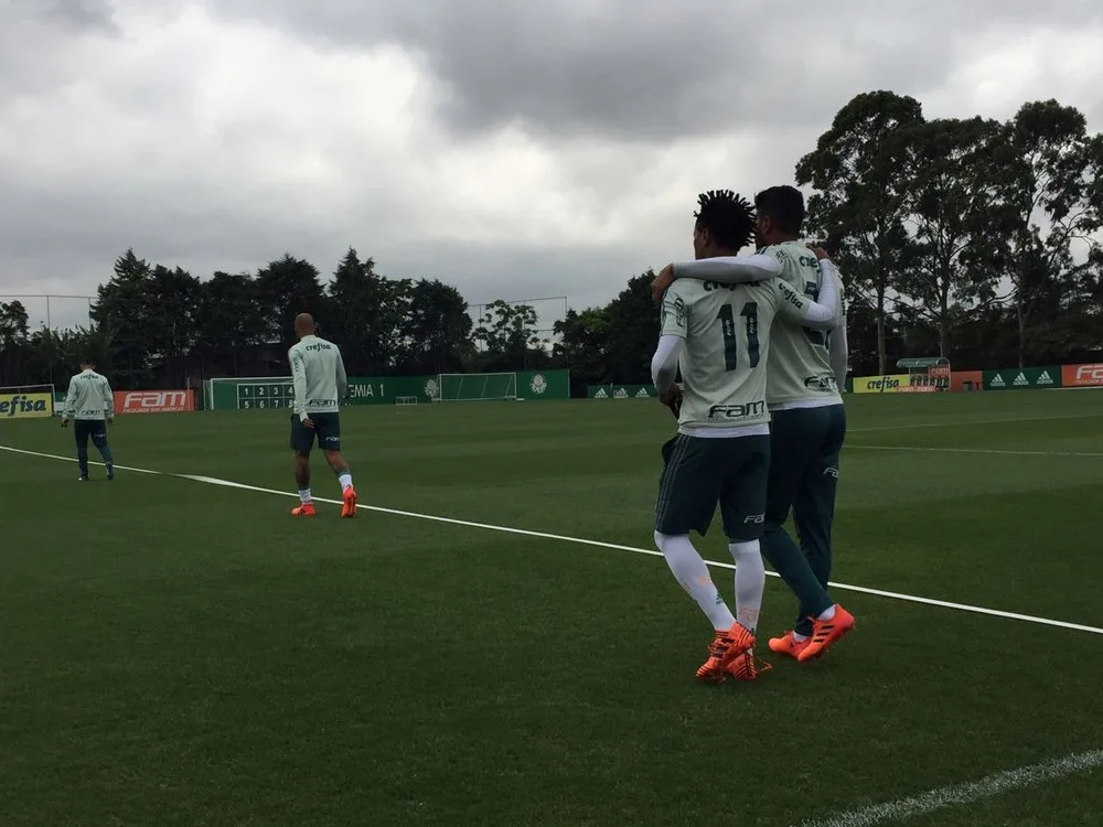 Palmeiras treina com desfalques no time titular