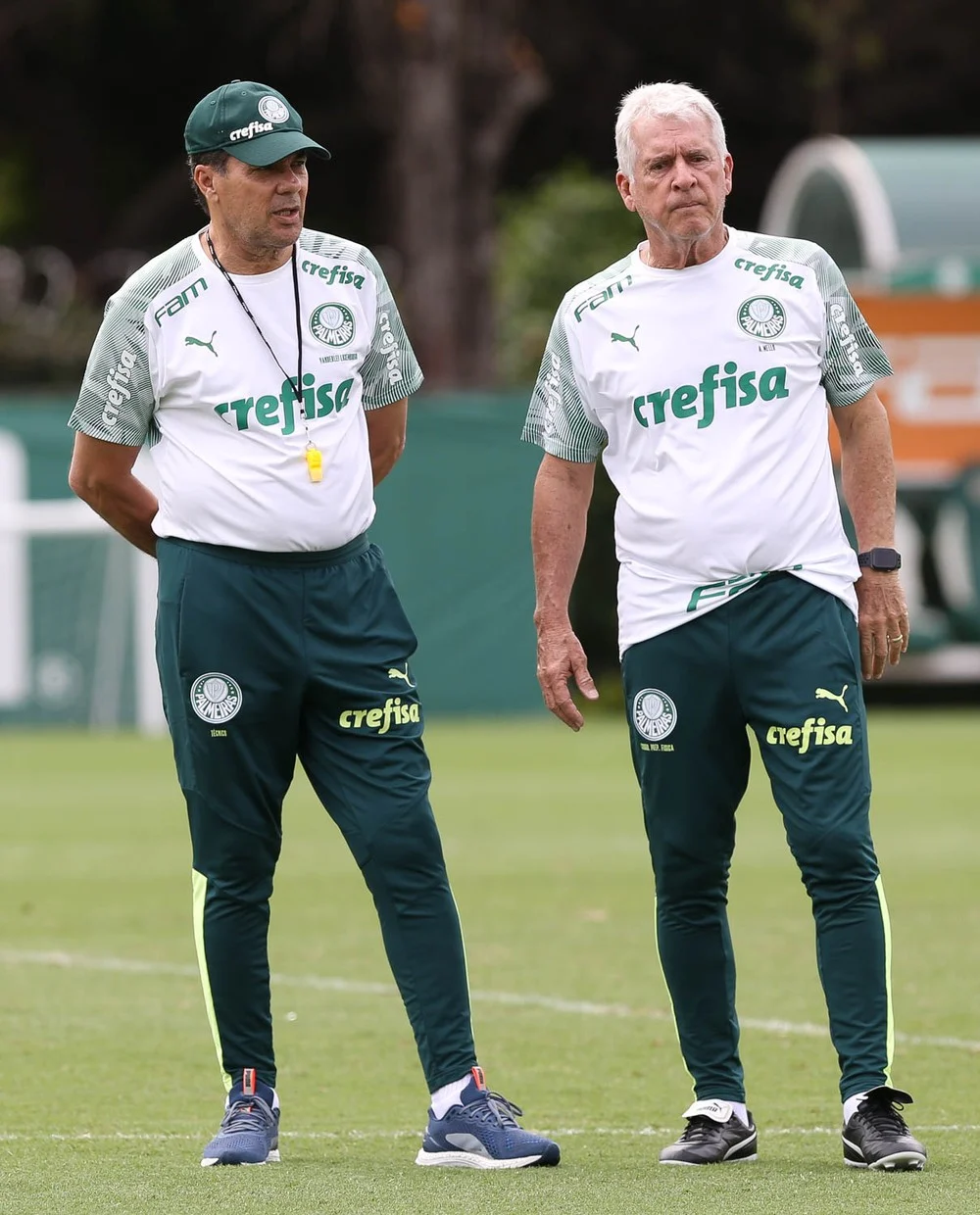 Palmeiras cresce e 