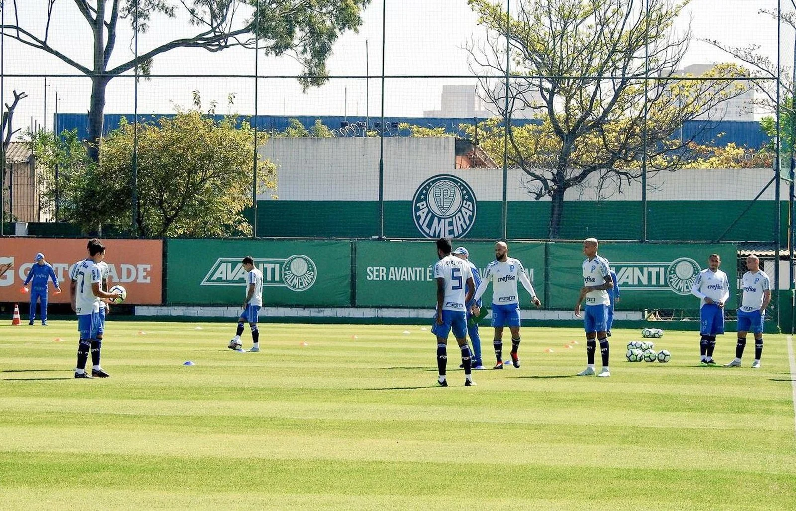 Bruno Henrique e Borja viram desfalques, e Felipão esboça Palmeiras com garotos
