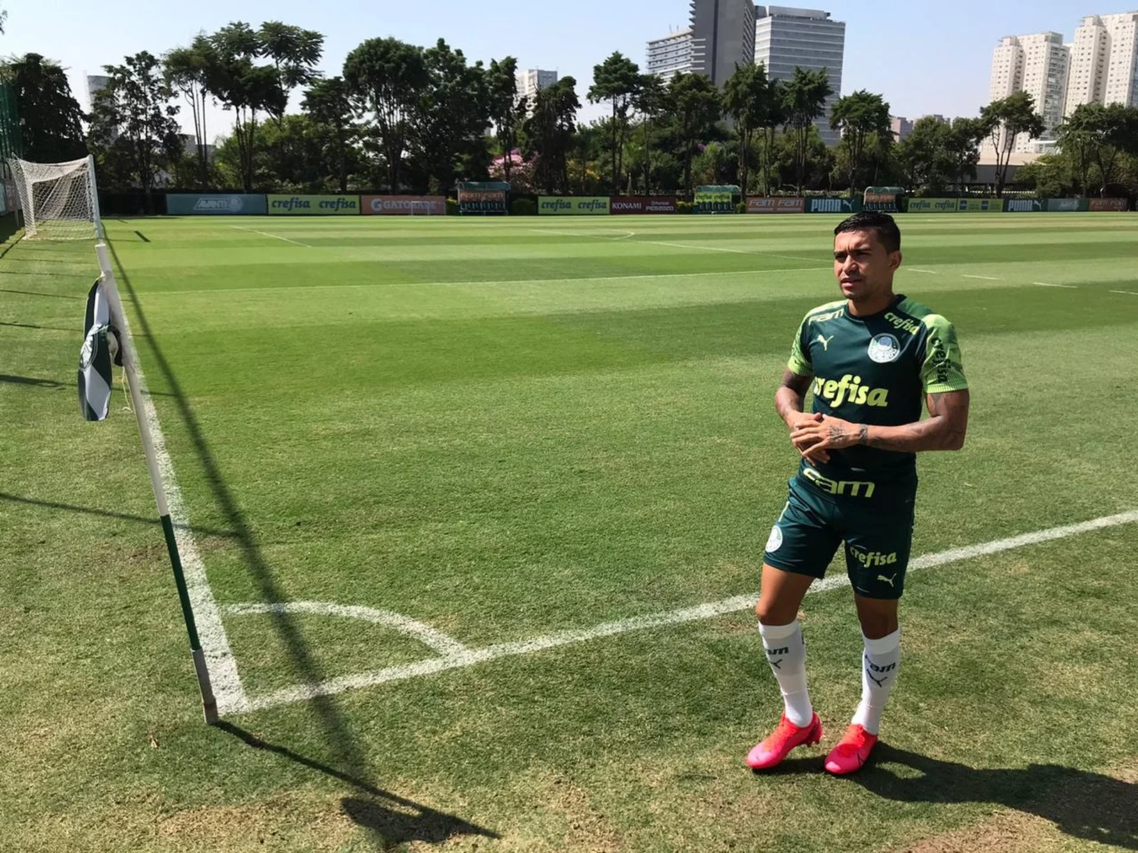 Palmeiras treina com titulares e deve ter apenas um desfalque contra a Inter de Limeira