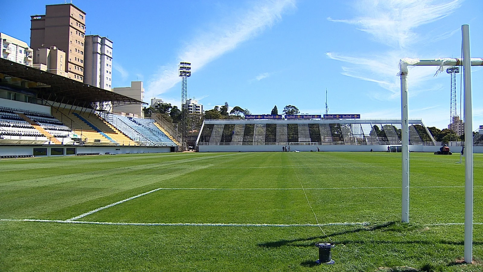 [COMENTE AQUI] Bragantino x Palmeiras: 