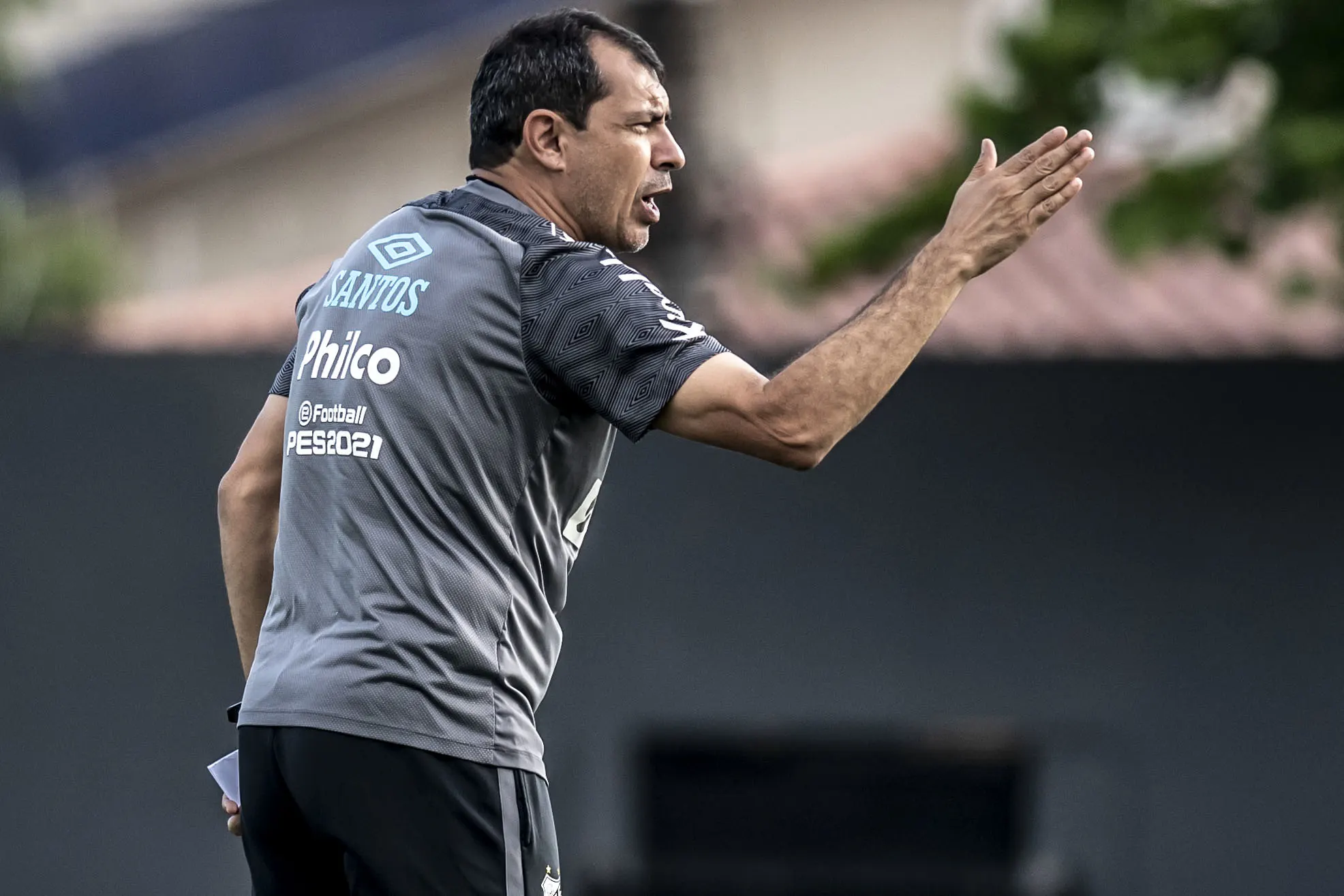 Possíveis substitutos de Antônio Oliveira no Corinthians após sua saída