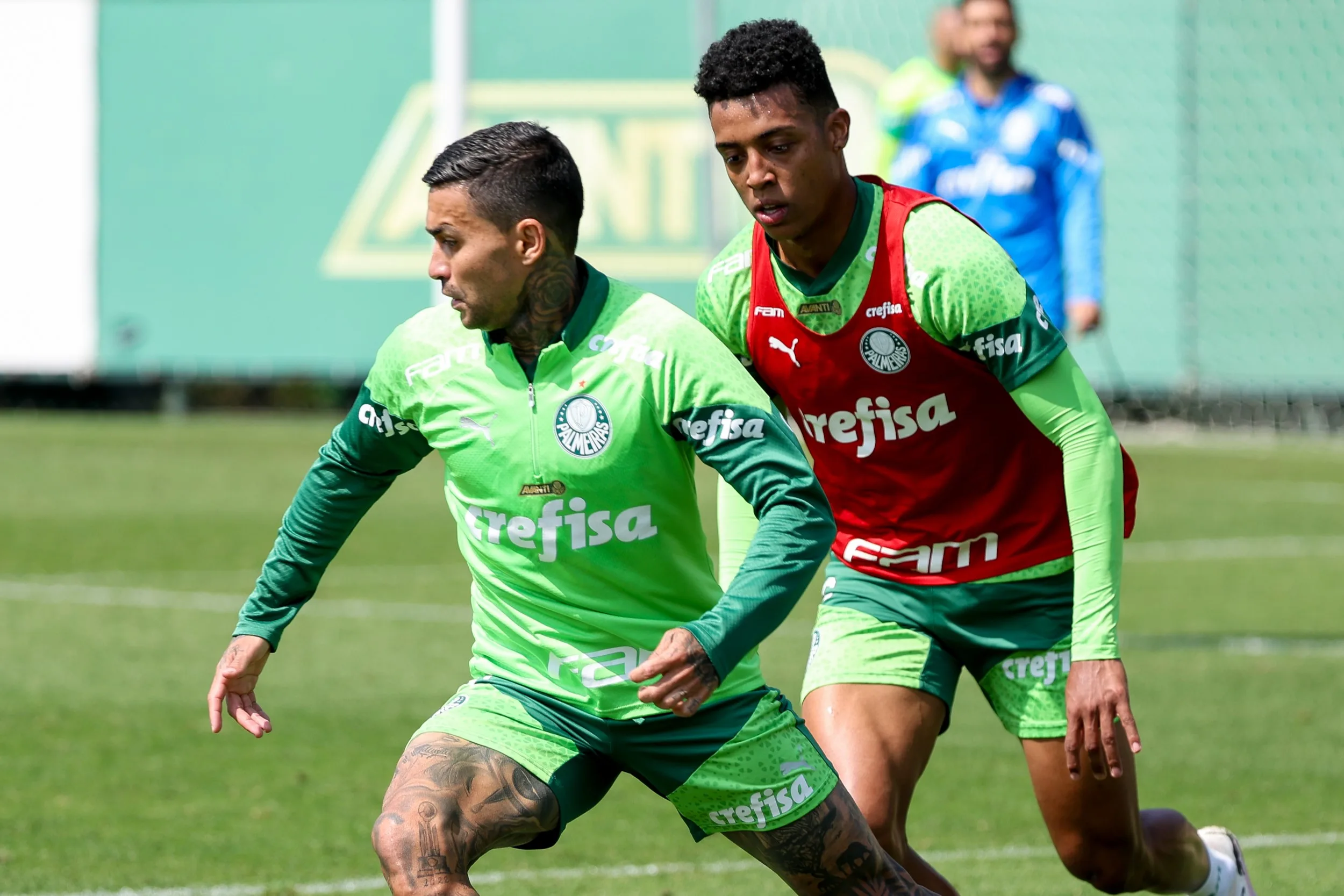 Treino do Palmeiras na Academia de Futebol: Galeria de Fotos desta Quinta-feira.