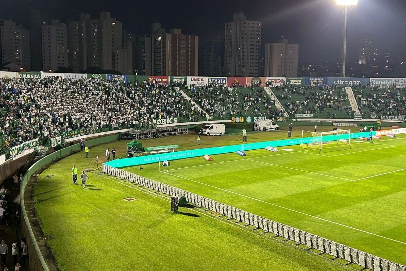 Torcida palmeirense de Campinas pressiona por conquista do Campeonato Brasileiro após eliminações.