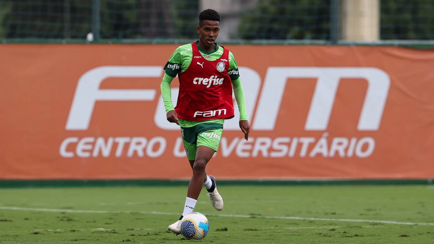 Treino do Palmeiras: Imagens do Time Se Preparando para os Próximos Desafios