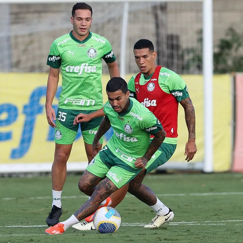 Fotos da reapresentação do Palmeiras: visão exclusiva da rotina pós-jogo.