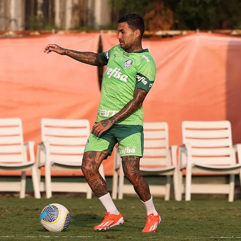 Violência no Clássico entre Palmeiras e Corinthians no Futsal: Pronunciamento Inadmissível