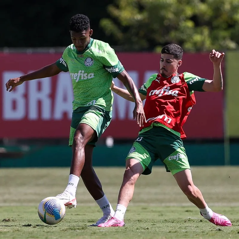 Reapresentação do Palmeiras: Imagens exclusivas do retorno aos treinos no clube.