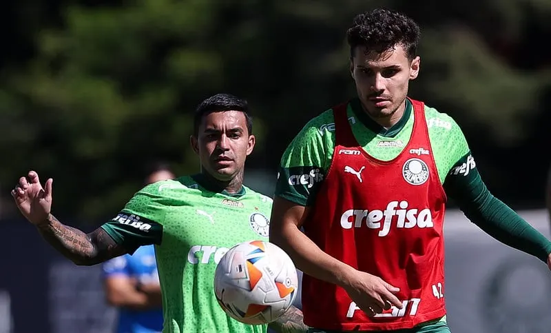 Palmeiras Inicia Treinos Intensivos visando a Libertadores da América