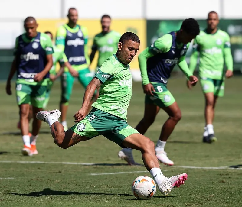 Marcos Rocha Próximo a Alcançar Marca de 300 Jogos Pelo Palmeiras