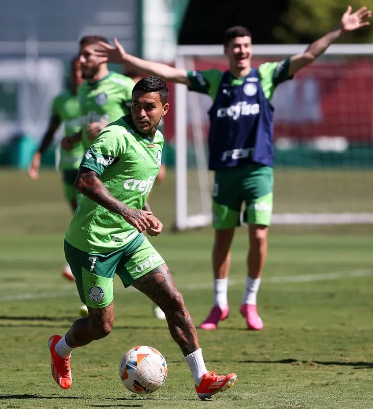 Fotos do treino do Palmeiras: preparação intensa para próximos desafios