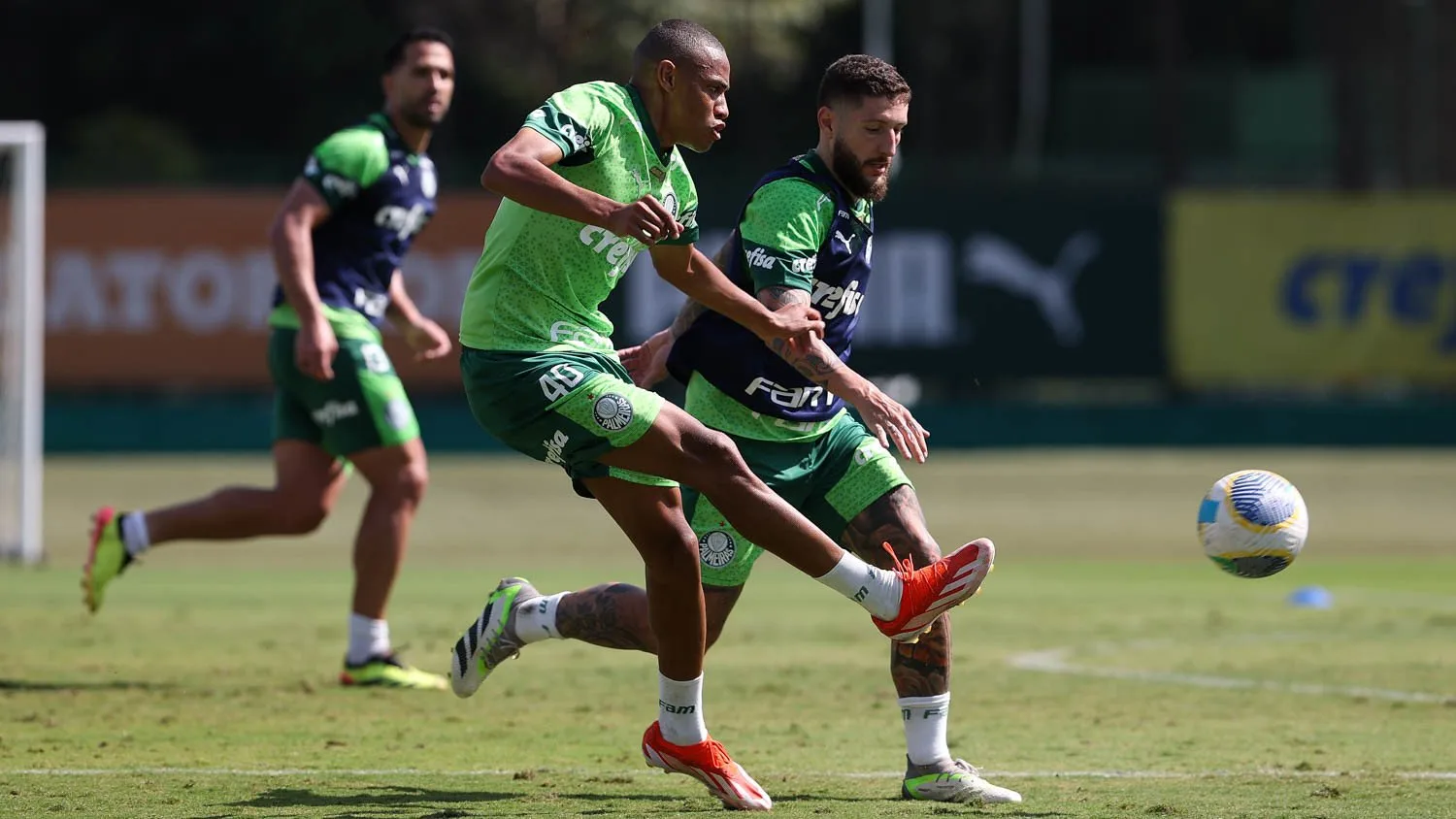 Treino do Palmeiras na Academia de Futebol: Imagens do Treinamento desta Sexta-feira.