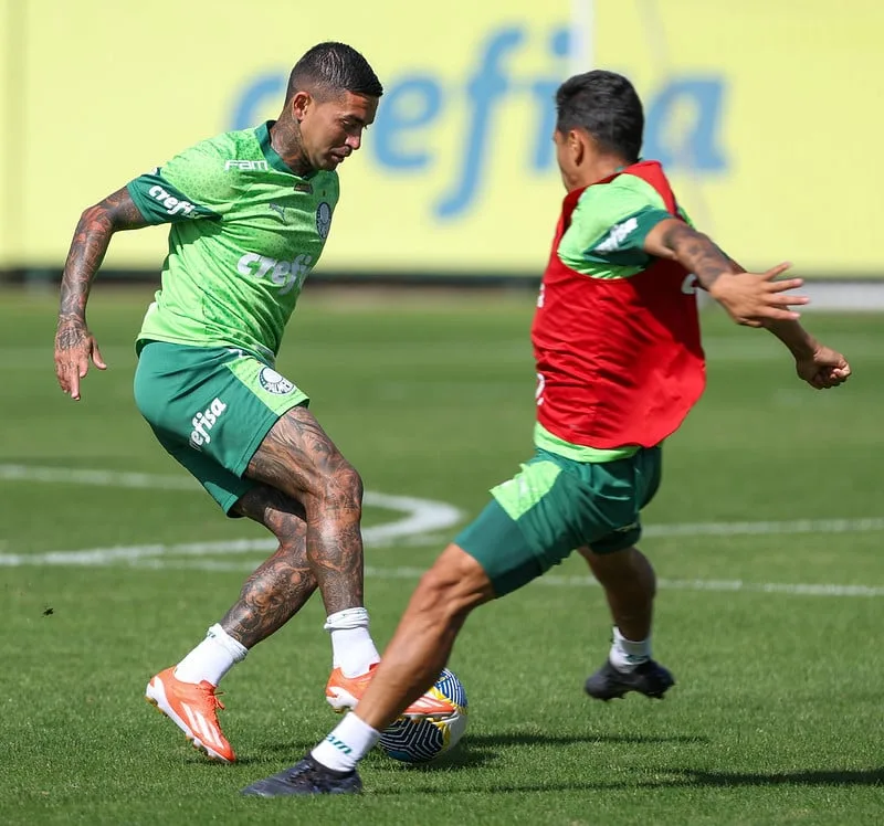 Palmeiras se prepara para enfrentar o Atlético-MG após vitória no Allianz.