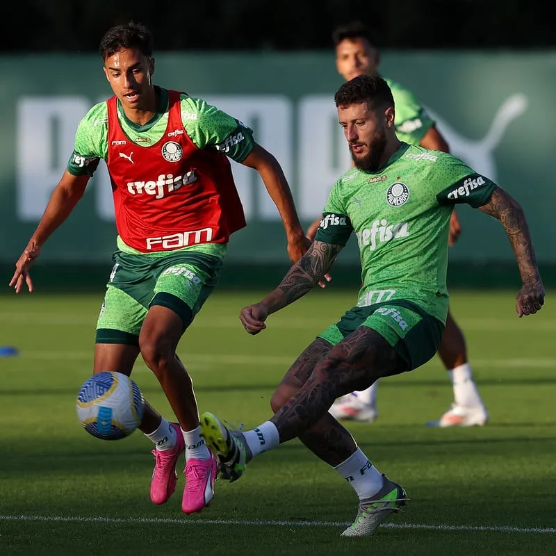 Treino do Palmeiras neste sábado: confira as fotos do treinamento da equipe.
