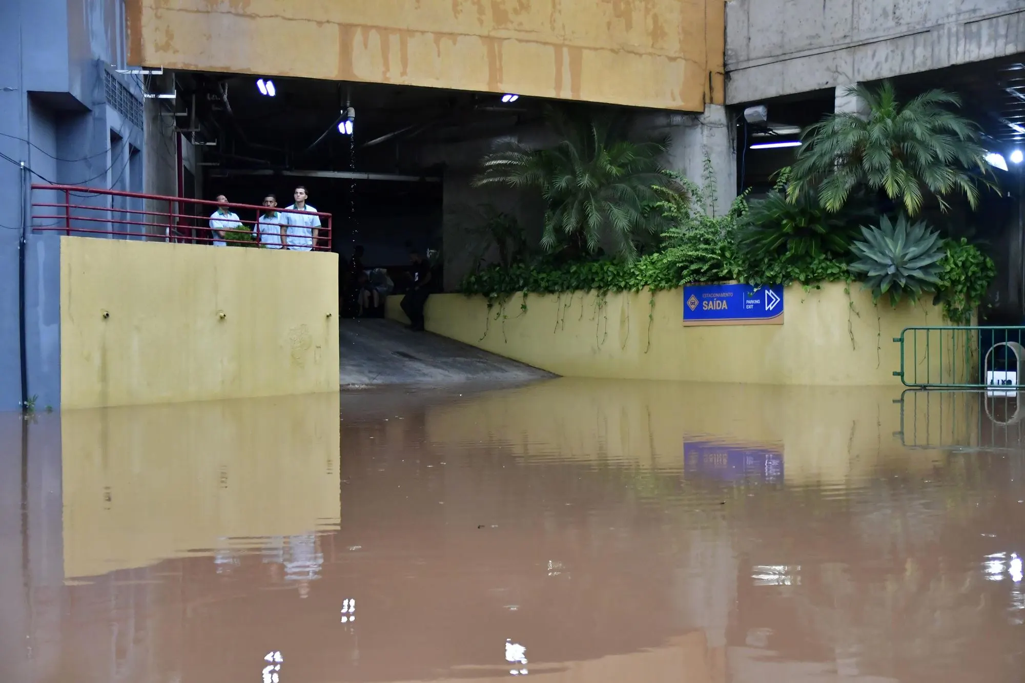 Alagamento na Arena Barueri antes de Partida entre Palmeiras e Mirassol