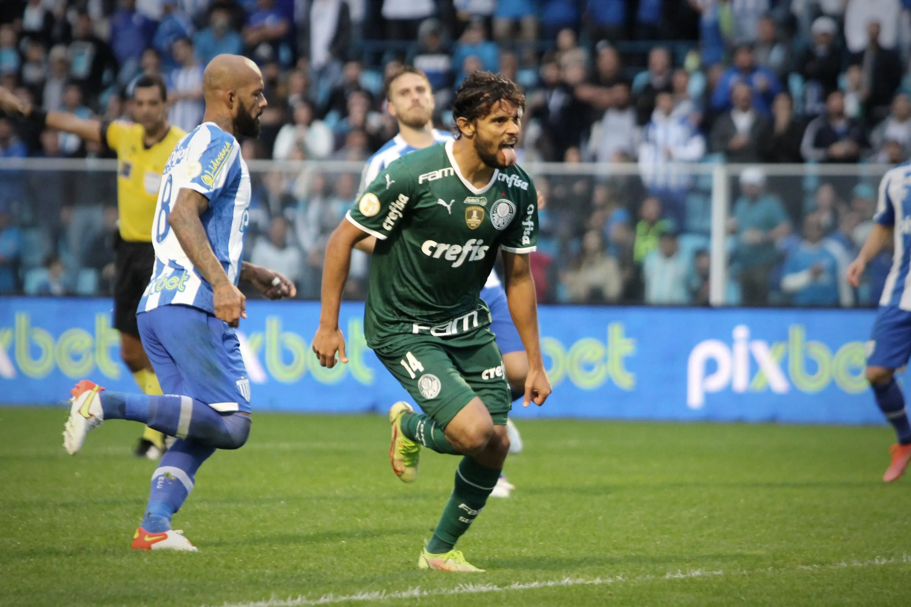 Assista aos bastidores do empate do Palmeiras contra o Avaí