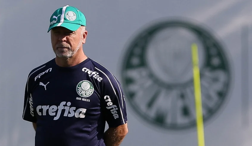 Palmeiras muda e mano 