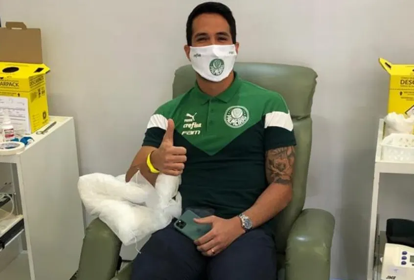 Palmeiras contabiliza quase mil doações de sangue e agradece torcida