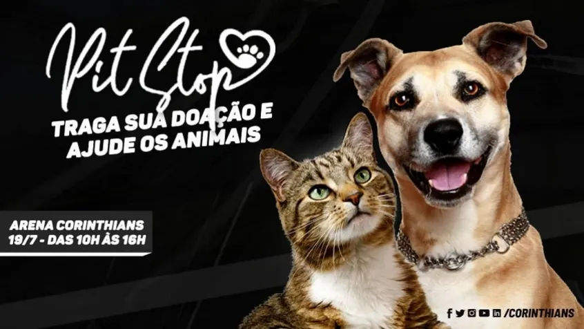 Arena Corinthians promove evento para receber doações para causa animal