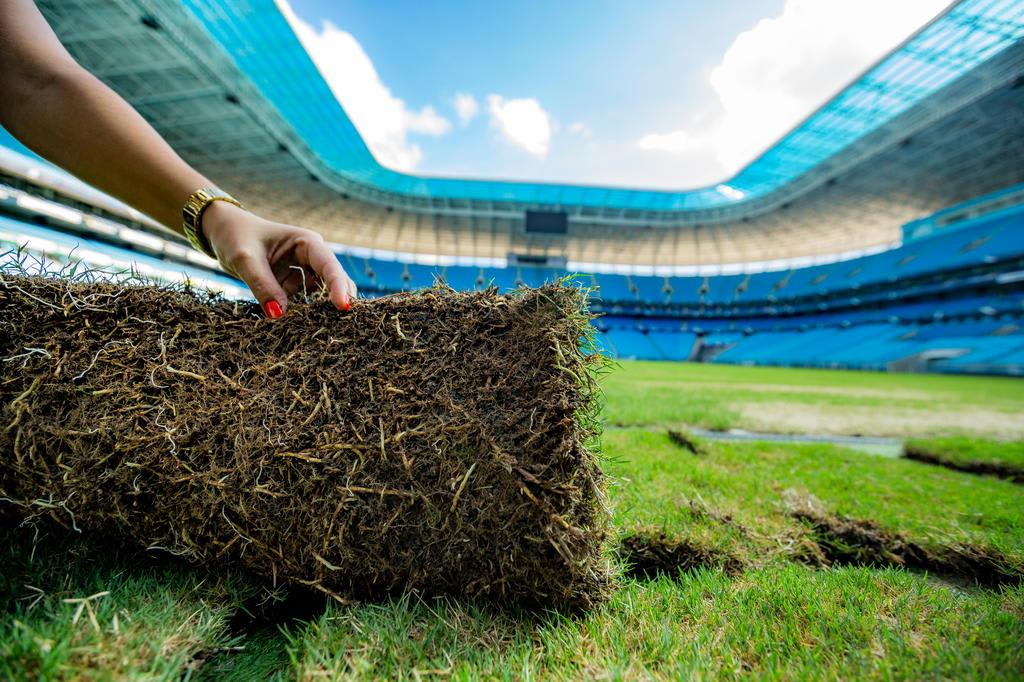 Gramado da Arena passa por manutenção para a temporada 2016