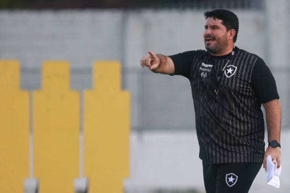 Botafogo tenta manter embalo contra Grêmio no Nilton Santos