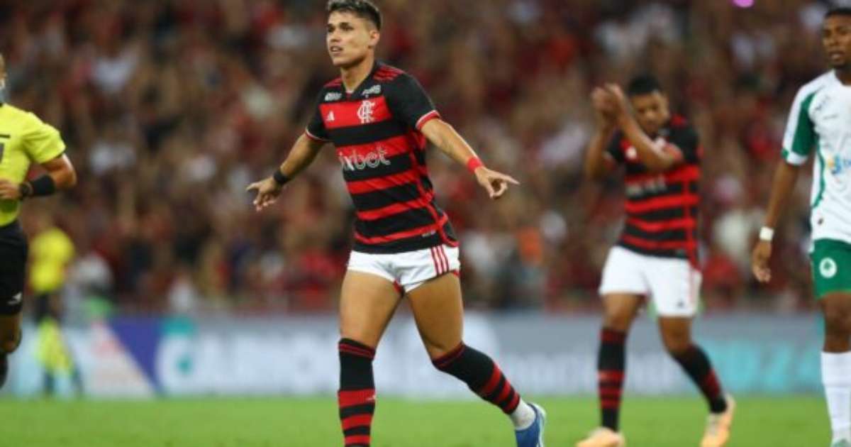 Golaço de Luiz Araújo impulsiona grande fase no Flamengo: Confira os números!