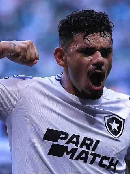 Botafogo tem a 2a maior vantagem da história após um terço do Brasileiro