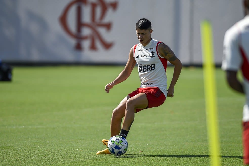 Além de Luiz Araújo, Flamengo mira pelo menos mais dois reforços para o  restante da temporada