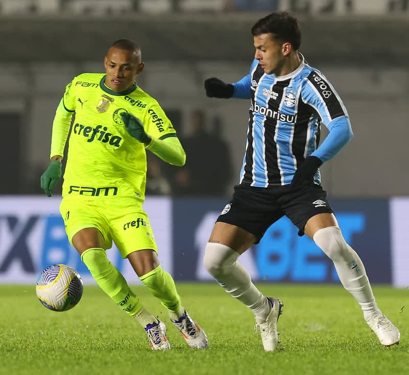 Fotos do Jogo entre Grêmio e Palmeiras Pelo Campeonato Brasileiro