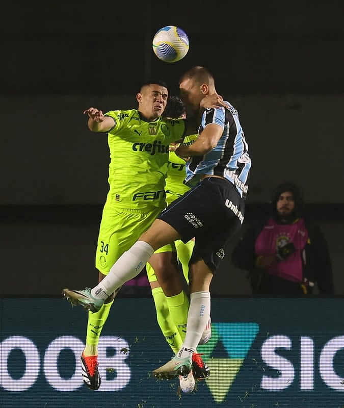 (Foto: Cesar Greco/Palmeiras)