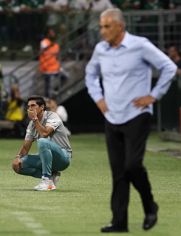 (Foto: Cesar Greco/Palmeiras)