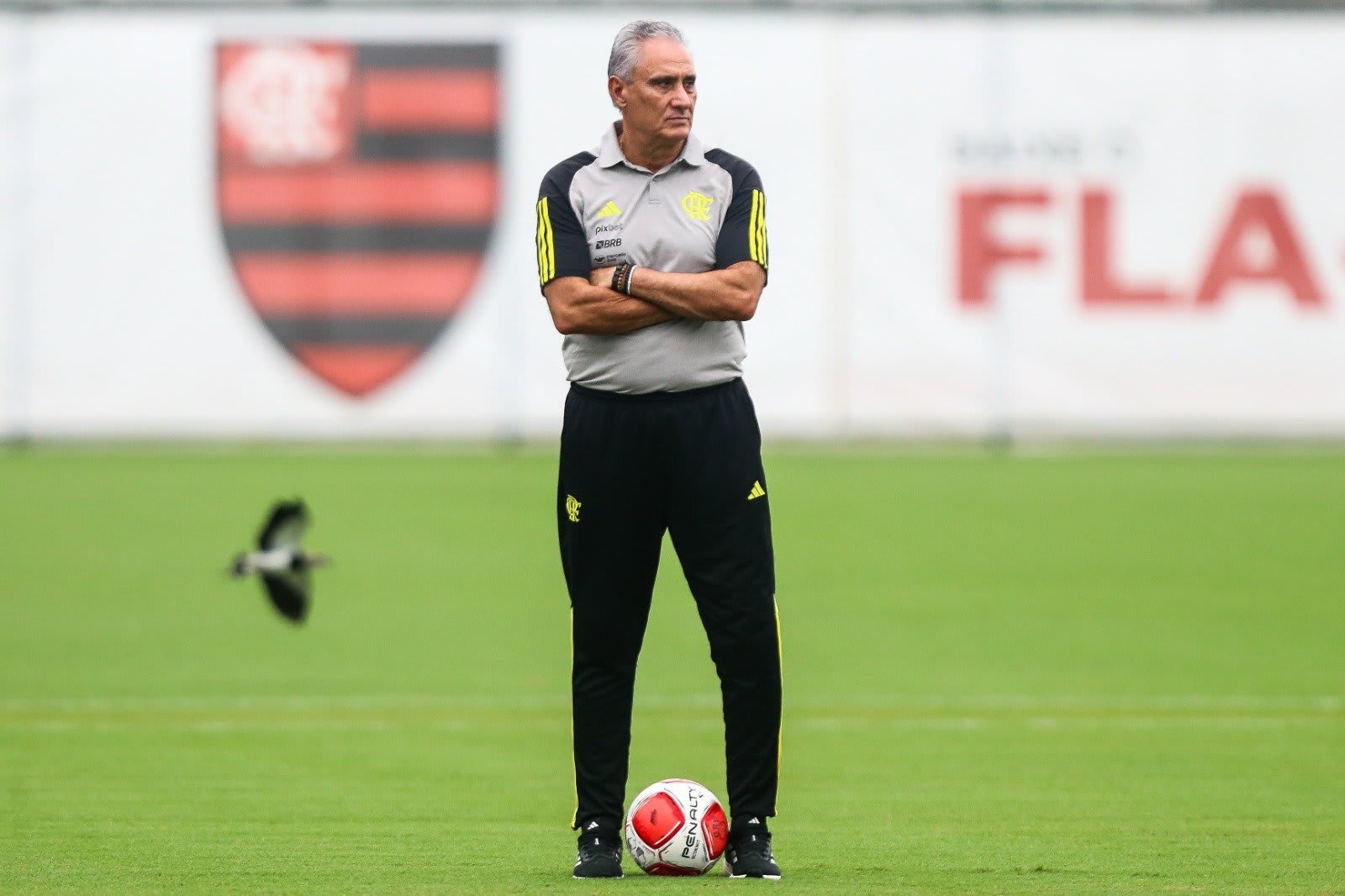 Tite elogia arbitragem na vitória do Flamengo sobre o Atlético-GO