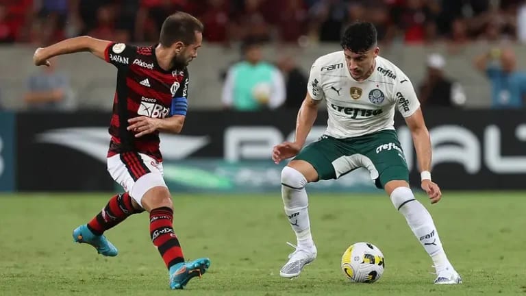 Palmeiras tenta quebrar jejum de sete anos sem vencer o Flamengo fora de casa pelo Brasileirão