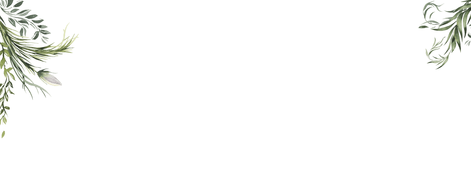 bg.png