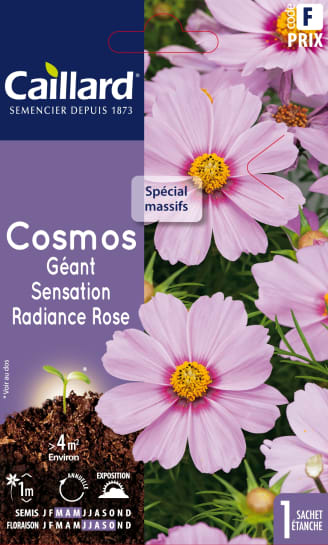 Graines de Cosmos Géant sensation picotée - Jardiland